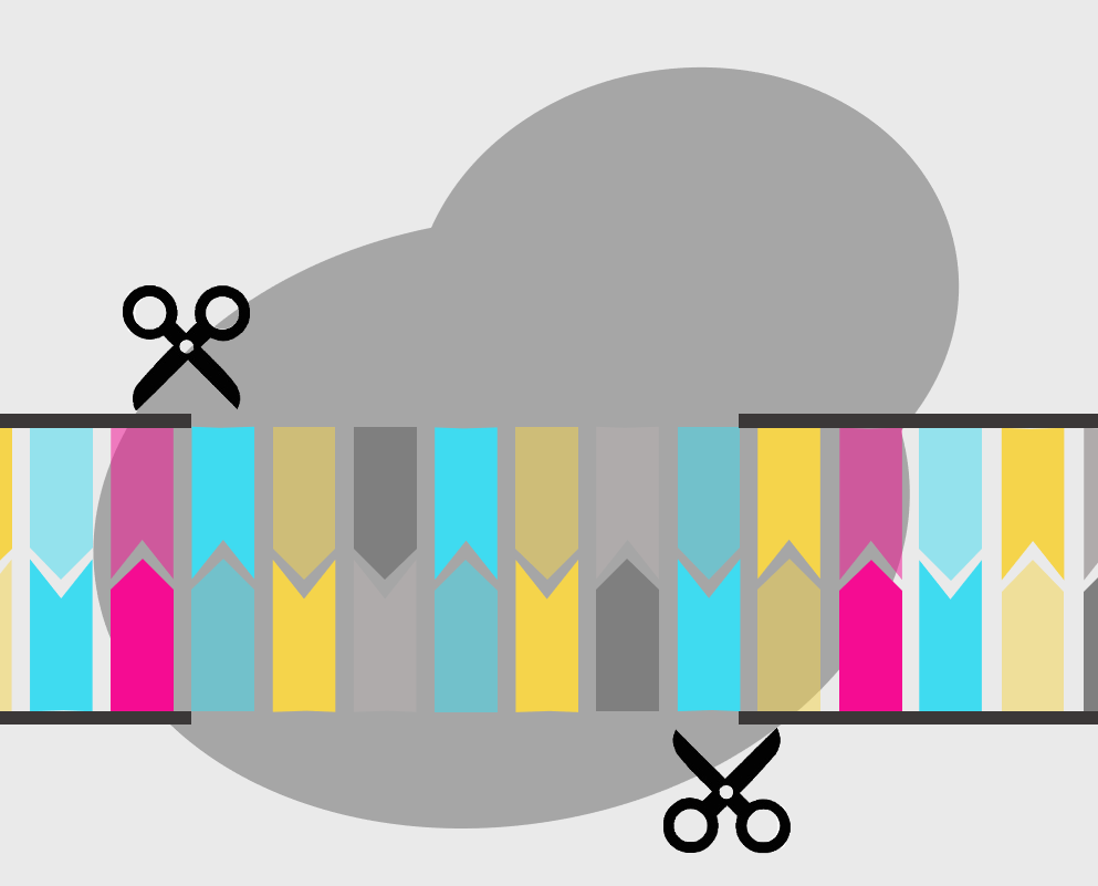 Gene Editing