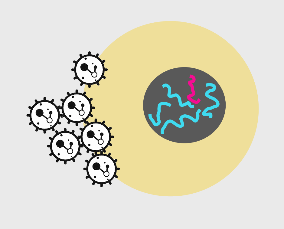 Gene Regulation
