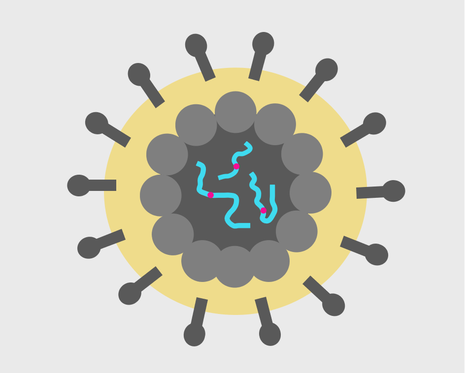 Virus Packaging