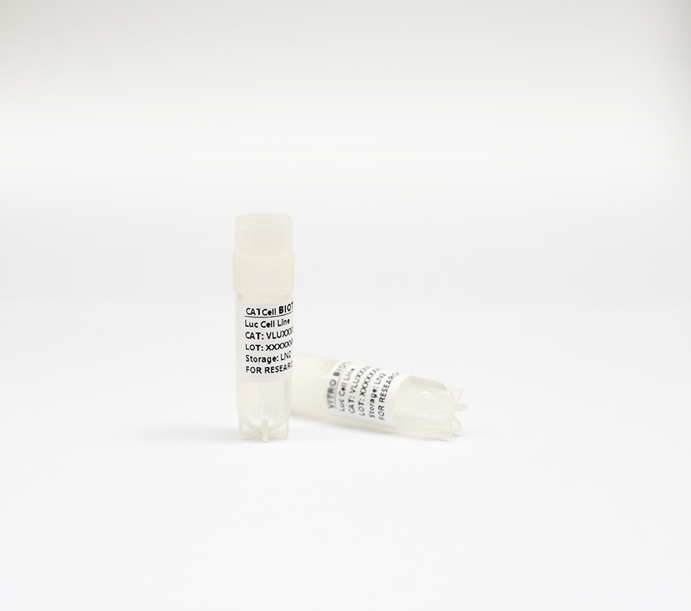 Luc-EGFP-002